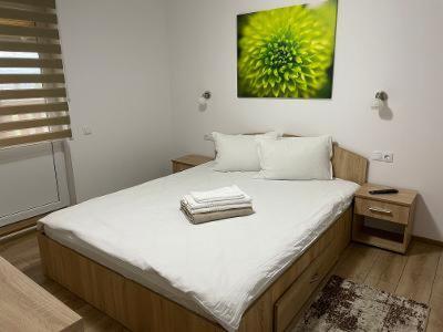 Casa Milla Hotel Sovata Bagian luar foto