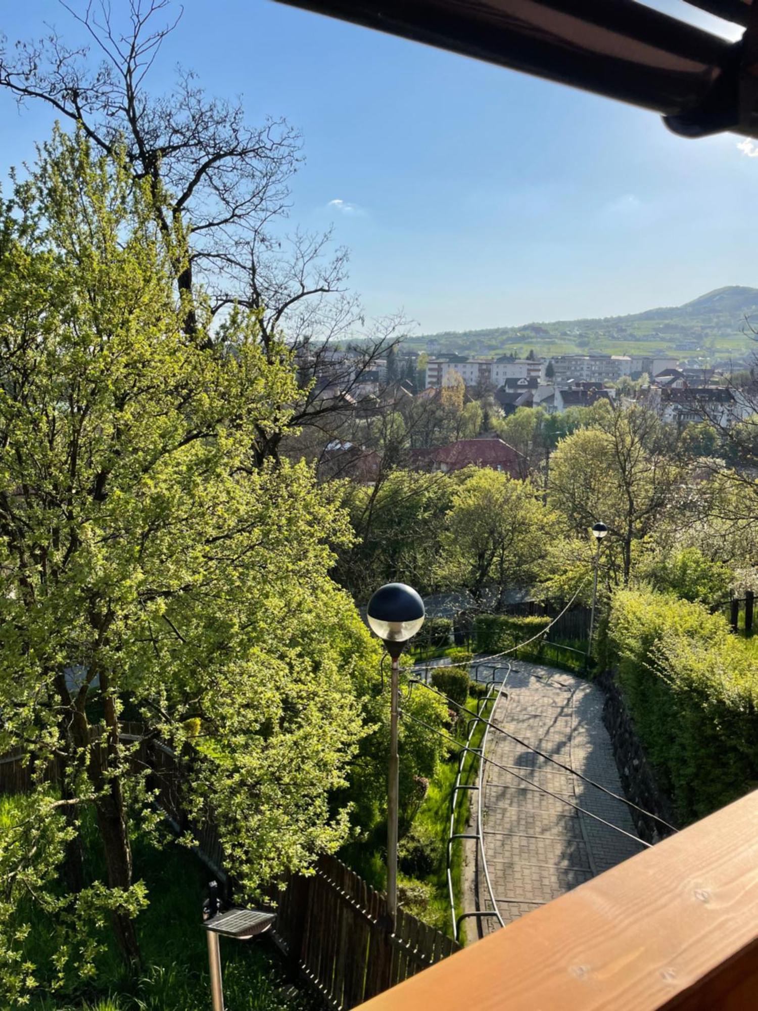 Casa Milla Hotel Sovata Bagian luar foto